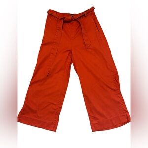 Banana Republic cotton/linen paper bag belted wide leg pants rust orange 2P